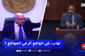 النواب ومواقع التواصل الإجتماعي .. البحث عن الترند أم التسويق للعمل البرلماني