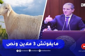وزير الفلاحة يعلق حول فيديو المواطن الذي كشف السعر الحقيقي للخروف ..” مايفوتش 3 ملاين ونص”