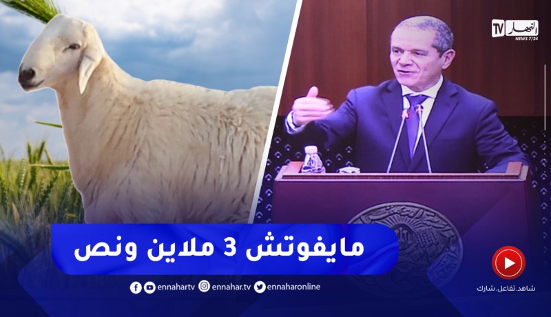 وزير الفلاحة يعلق حول فيديو المواطن الذي كشف السعر الحقيقي للخروف ..” مايفوتش 3 ملاين ونص”