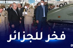 رئيس الجمهورية: الجزائر حققت تقدما في الصناعة العسكرية