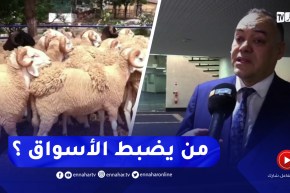 مساءلة للحكومة حول أسعار الأضاحي .. من يضبط الأسواق؟