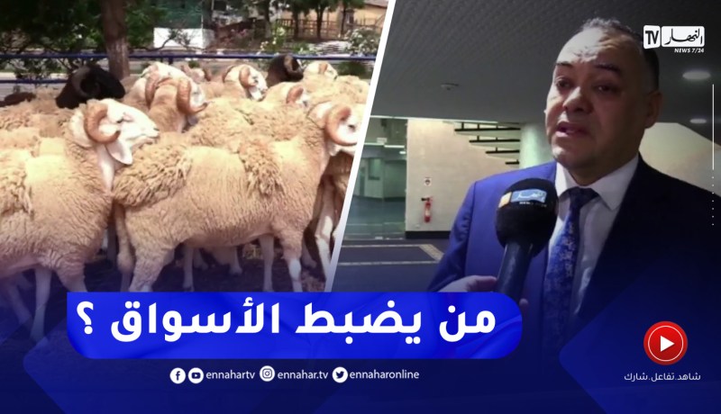 مساءلة للحكومة حول أسعار الأضاحي .. من يضبط الأسواق؟