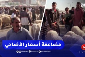 برج بوعريريج / المضاربة في أسعار الأضاحي .. السماسرة يقتحمون أسواق الماشية