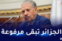 قوجيل: بقايا الإستعمار الفرنسي وصلت لحد التعليق على النشيد الوطني