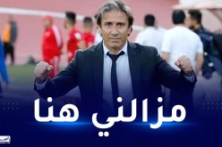 الكوكي:”لازلت مدربا لشباب بلوزداد ومشوارنا في البطولة هذا الموسم تاريخي”