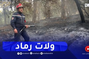 سيدي بلعباس.. هكذا أصبحت غابة “السبكتور” بعد الحريق الذي مسها