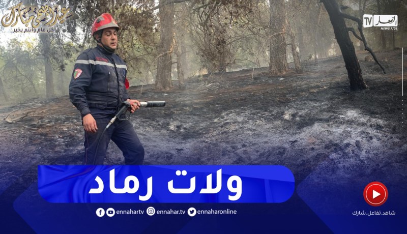 سيدي بلعباس.. هكذا أصبحت غابة “السبكتور” بعد الحريق الذي مسها