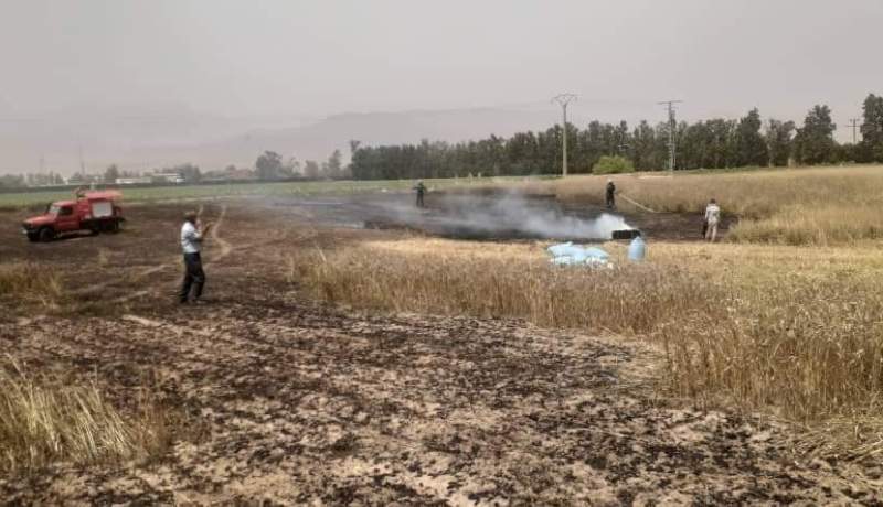 عين الدفلى: إخماد حريق في  محصول قمح ببلدية بئر ولد خليفة