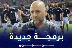 بلماضي يبرمج تربصا تحضيريا بإحدى البلدان الإفريقية مستقبلا