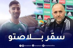 بلماضي :”عمورة حجز مكانته وأتمنى تعزيز رصيده التهديفي”