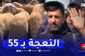 عنابة : إستياء من إرتفاع أسعار الأضاحي قبيل أيام من عيد الأضحى