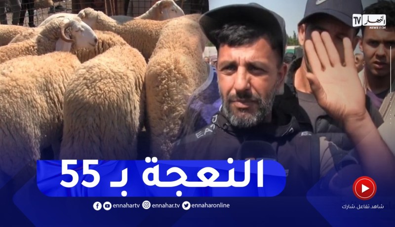 عنابة : إستياء من إرتفاع أسعار الأضاحي قبيل أيام من عيد الأضحى