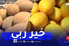 غليزان : البطيخ الأصفر يغزو الأسواق مبكرا هذا الموسم