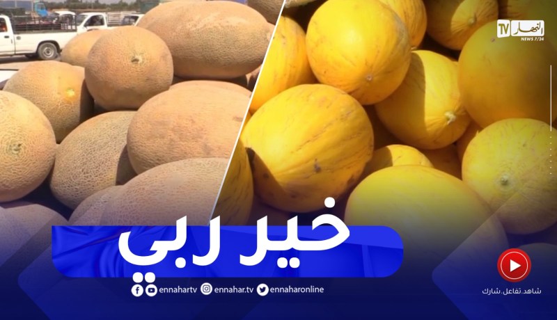 غليزان : البطيخ الأصفر يغزو الأسواق مبكرا هذا الموسم