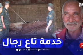 قالمة : مصالح الدرك توقف 3 متهمين وتسترجع 43 رأس من الغنم كانت مسروقة