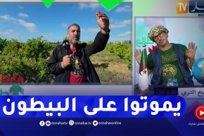 طالع هابط: النوي يطالب السلطات العليا بإنقاذ أرض فلاحية 18 هكتار من البرتقال .. حبو يديروها باطيمات