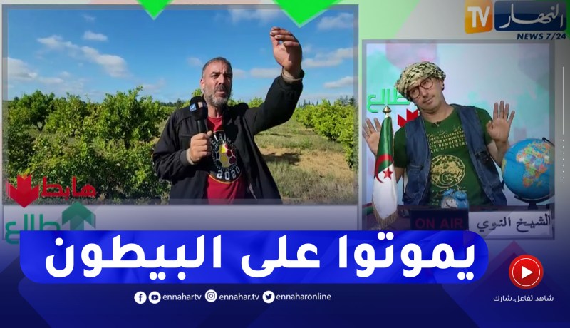طالع هابط: النوي يطالب السلطات العليا بإنقاذ أرض فلاحية 18 هكتار من البرتقال .. حبو يديروها باطيمات