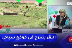 طالع هابط : موقع سياحي بالطارف أصبح مرعى للأبقار .. هكذا تُطور السياحة في الجزائر
