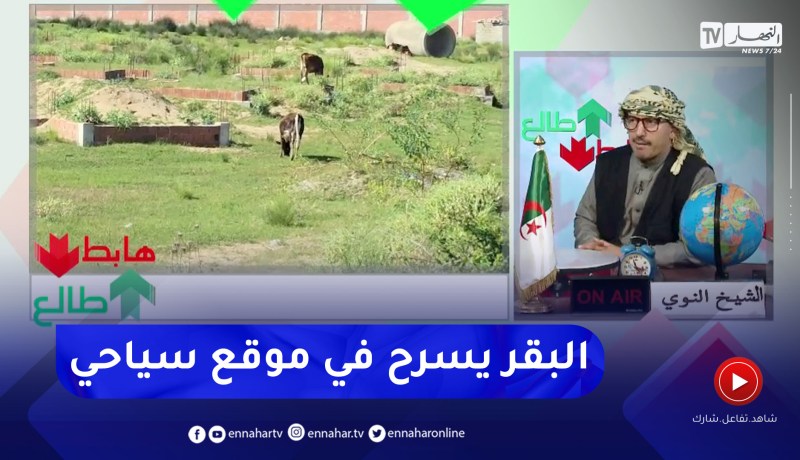 طالع هابط : موقع سياحي بالطارف أصبح مرعى للأبقار .. هكذا تُطور السياحة في الجزائر