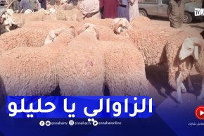 الجلفة : عزوف عن بيع و شراء الأضاحي بسبب ارتفاع أسعارها قبل أيام عيد الأضحى