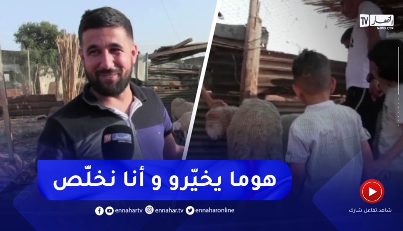 عين تموشنت :إصطحاب الأطفال لاختيار أضحية العيد.. فرحة مبكرة للمناسبة