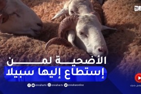 تيارت : أراء متباينة حول سعر الأضحية