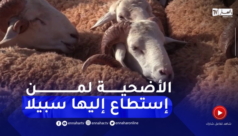 تيارت : أراء متباينة حول سعر الأضحية