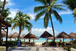 زفاف في المكسيك ينتهي بـ “كارثة صحية”