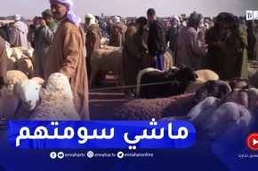 البيض : تباين في أسعار الماشية قبل شهر عن عيد الأضحى المبارك
