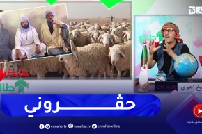 طالع هابط : موال يملك 3 ألاف رأس غنم يريدون طردهم من أرض رعوية