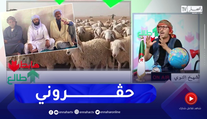 طالع هابط : موال يملك 3 ألاف رأس غنم يريدون طردهم من أرض رعوية