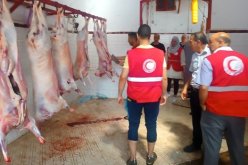 عيد الأضحى.. عمليات تضامنية للهلال الأحمر الجزائري