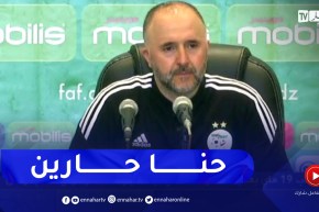 بلماضي يعتذر أمام الجميع عن شجاره مع لاعب المنتخب التونسي