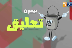 بيدون تعليق: شاحنة صغيرة ترفد 3 قناطر الجزائري يرجعها ترفد 100 قنطار