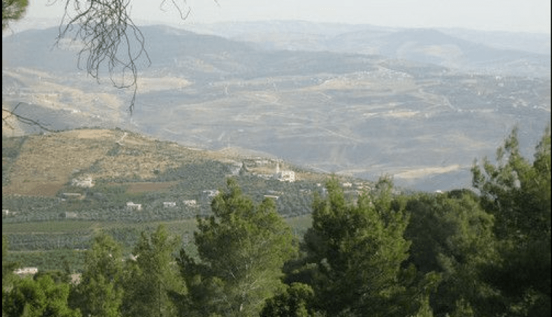 تبسة.. منع إقامة موائد الشواء وطهي الأطعمة في الأملاك الغابية لتفادي الحرائق