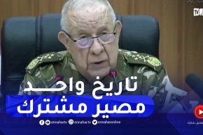 شنقريحة: الرهان اليوم هو أن يلتقي الجزائريون كلهم حول ما يجمعهم من تاريخ واحد ومصير مشترك