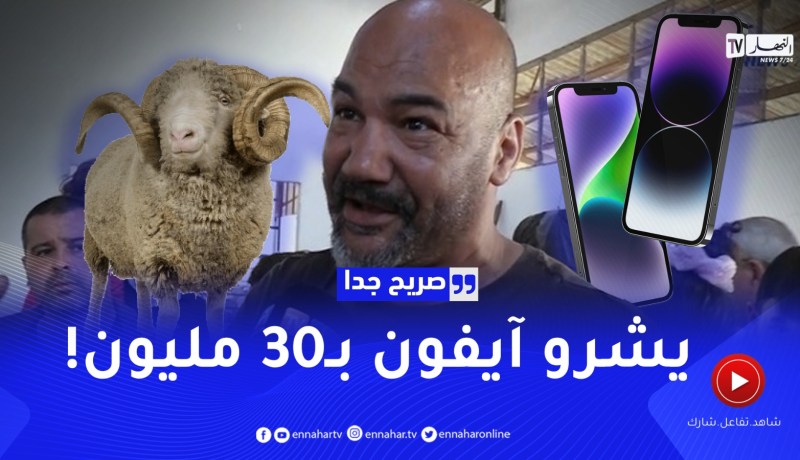 صريح جدا: هذه هي أسعار أضـ_احي العيد بالعاصمة ..