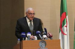 وزير الخارجية: من غير المناسب معاملة المهاجرين بإجراءات استبدادية أو قوانين تقييدية