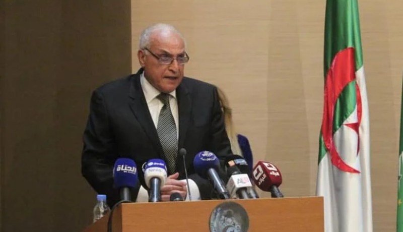 وزير الخارجية: من غير المناسب معاملة المهاجرين بإجراءات استبدادية أو قوانين تقييدية