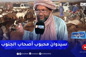 جزائريون: سلالة “سيدوان”.. خيار سكان الجنوب الأول لعيد الأضحى