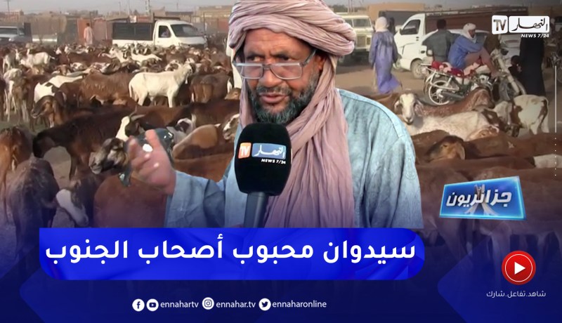 جزائريون: سلالة “سيدوان”.. خيار سكان الجنوب الأول لعيد الأضحى