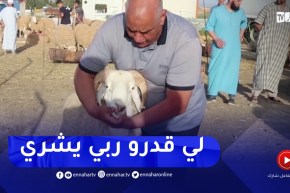 قسنطينة : رغم غلاء أسعارها..مواطنون يقبلون على إقتناء الأضاحي