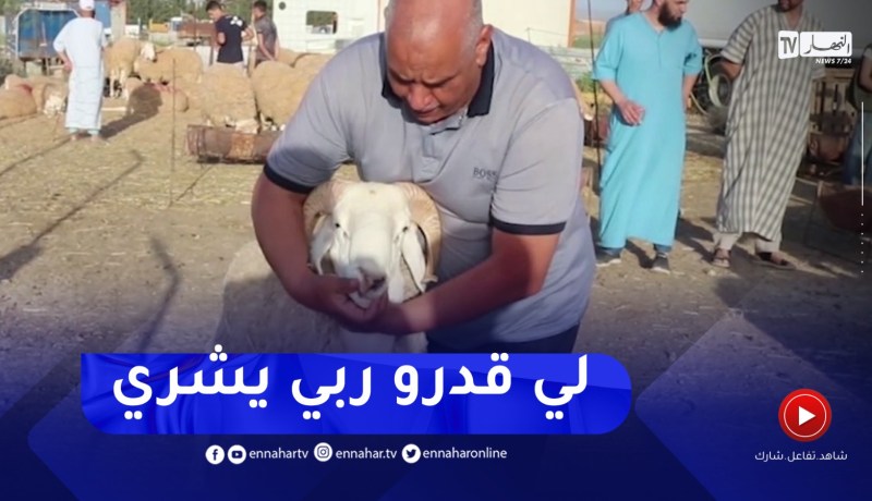 قسنطينة : رغم غلاء أسعارها..مواطنون يقبلون على إقتناء الأضاحي