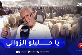 بريج بوعريريج: المضاربة في أسعار الأضاحي .. السماسرة يقتحمون أسواق الماشية