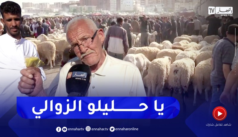بريج بوعريريج: المضاربة في أسعار الأضاحي .. السماسرة يقتحمون أسواق الماشية