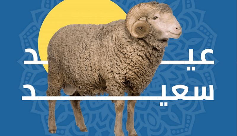 هذا برنامج عمل حافلات إيتوزا في عيد الأضحى