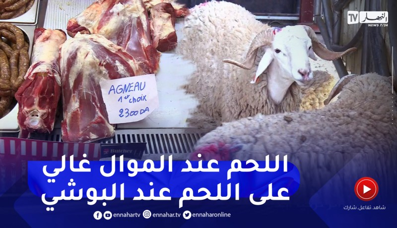 سعر لحم الأضحية أغلى من سعر لحم الكبش عند الجزار .. ولكن