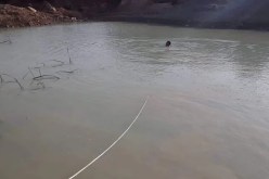 البحث عن شخص مفقود بمجمع مائي في الجلفة