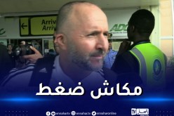 بلماضي: “نريد الفوز أمام أوغندا والفرصة مواتية لمعاينة بعض العناصر”