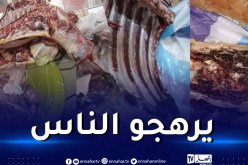 حجز كمية معتبرة من اللحوم الفاسدة ببلدية لمطار في سيدي بلعباس